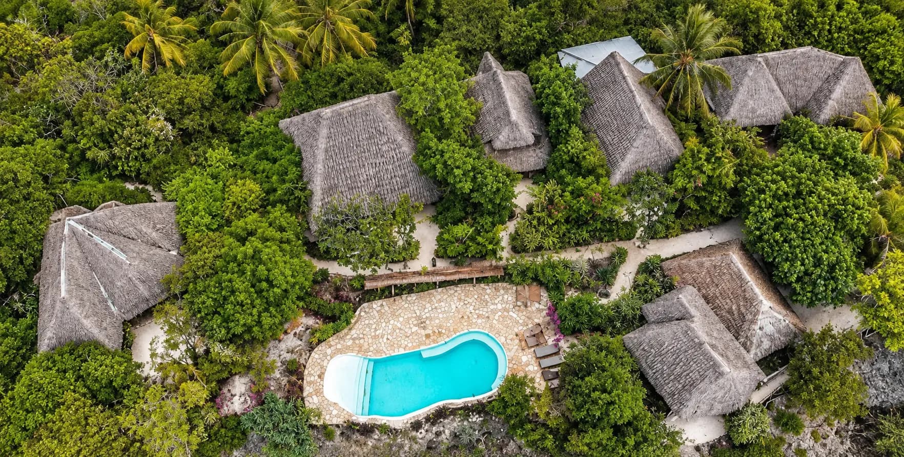 Adventures on Kizimkazi Beach at Veridiana Hotel Zanzibar
